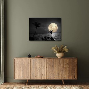 Kép - A strand a telihold alatt szürke tónusokkal (70x50 cm)