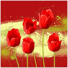 Poszterek 30x30 Piros pipacs