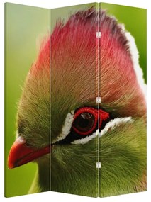 Paraván - Színes madár (126x170 cm)