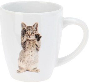 Cats kőagyag bögre készlet 3 db, 220 ml
