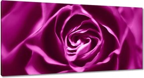 Vászonkép 115x55 Lila rózsa Makrofotó