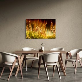 Kép - Harmat részlete (90x60 cm)