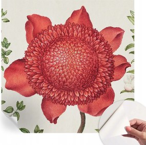 Matt öntapadós fotótapéta Falra Virágos elegancia 250x250 cm