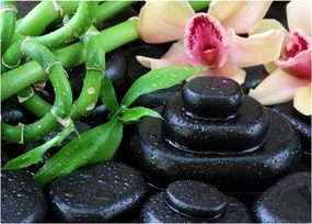 Üveg kép - Kövek és orchideák (70x50 cm)