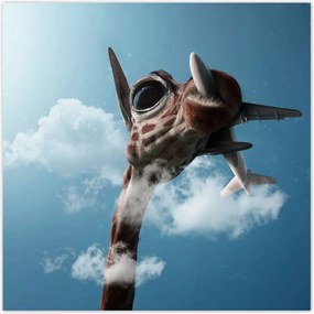 Poszterek 100x100 Repülőgépek Repülőgép