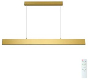 Brilagi - LED Dimmelhető csillár zsinóron SLIMLINE LED/40W/230V 3000-6000K arany + távirányító
