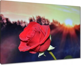 Vászonkép 100x70 Különböző a szeretett számára