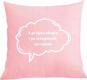 Párna párnahuzat Mindenkit takarítok