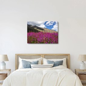 Hegyi rét tája (70x50 cm)