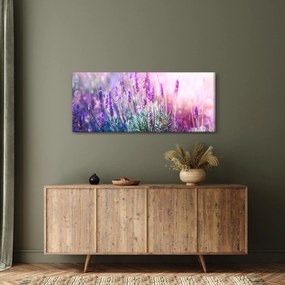 Kép - Levendula a csillogó napban (120x50 cm)