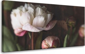 Vászonkép Fehér Virág Természet Vintage Retro 80x40