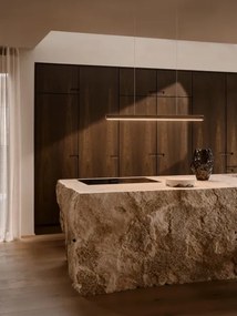 DFTP by Nordlux - AKENO LED, fényerőszabályozható kábeles függőlámpa LED/25W/230V 3000K kőris