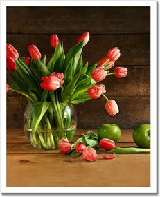 Poszter keretben 40x50 Piros tulipánok