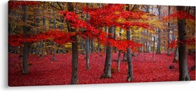 Kép - vörös erdő (120x50 cm)
