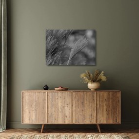 Üveg kép - Szárított pampafű (70x50 cm)