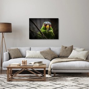 Papagáj képe (üvegen) (70x50 cm)