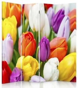 Gario Paraván Színes tulipánok Méret: 145 x 170 cm, Kivitelezés: Klasszikus paraván