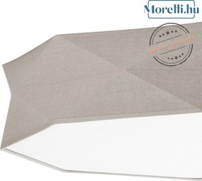 Mennyezeti Lámpa Szürke KANTOOR TK LIGHTING 6196