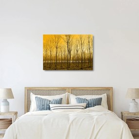 Kép - Faültetvény (üvegen) (70x50 cm)