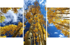 Kép - Aspen (90x60 cm)