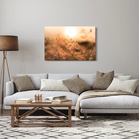 Kép - Fű a napon (90x60 cm)
