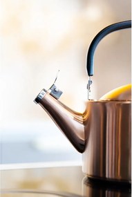 Rézszínű rozsdamentes acél vízforraló kanna 1,5 l Diamante – Vialli Design