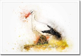 Poszterek keretben 60x40 Gólya