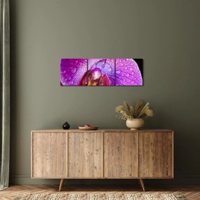 Részletes kép az orchidea virágról (órával) (90x30 cm)