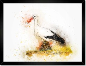 Poszterek keretben 40x30 Gólya