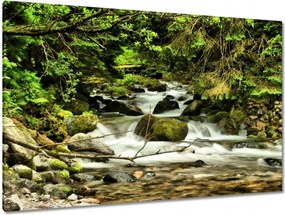 Festmények 120x80 Patak a hegyekben