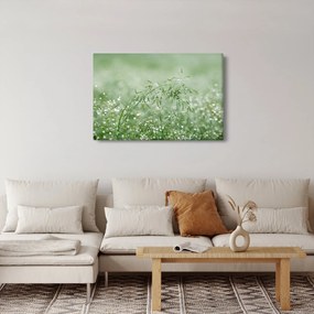 Kép - Reggeli harmat a fűszálakon (90x60 cm)
