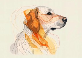 Poszter 70x50cm Profil kontúr