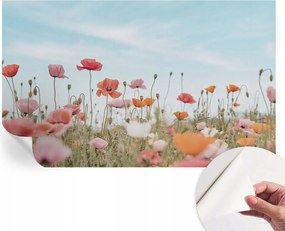 Öntapadós Dekoratív Fotótapéta Hálószobába Pipacsvirágok 416x254 cm