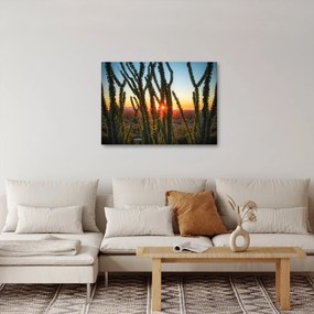 Kép - Növények (70x50 cm)