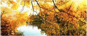 Kép - Őszi fa (120x50 cm)