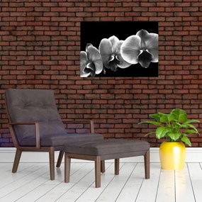 Egy orchidea virág képe (70x50 cm)