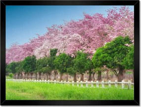 Poszterek keretben 40x30 Cseresznye tájkép