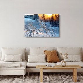 Kép - Téli rét (90x60 cm)