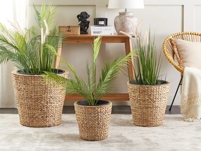 Vízijácint virágtartó háromdarabos szettben 28/37/47 cm PLAKA Beliani