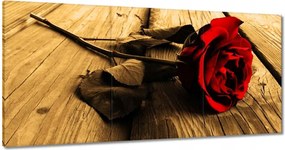 Vászonkép 60x30 Rózsa szépia deszkákon