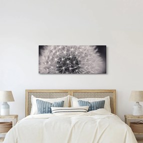 Pitypang képe (120x50 cm)