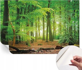 Öntapadós Dekoratív Fotótapéta Hálószobába Zöld erdő 104x70 cm