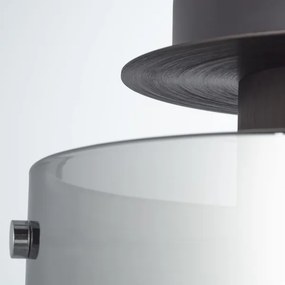 Brilliant - Mennyezeti lámpatest BETH 1xE27/60W/230V, átm. 20 cm, fekete/füstszínű