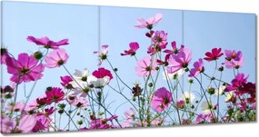 Vászonkép 180x90 Rét virágokkal