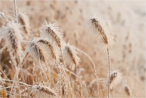 Flizelin tapéta Divatos 3D fali ragasztó Téli tájkép 104x70 Ragasztó