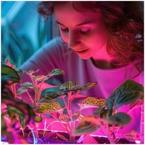 LED Növénynevelő izzó PLANTY E27/40W/230V 1200K