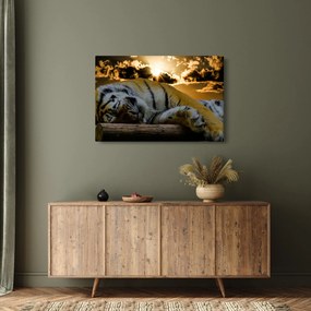 Alvó tigris képe (90x60 cm)