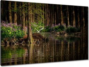 Festmények 120x80 Tájkép Látvány