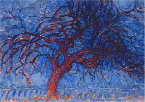 Divatos 3D Fali Tapéta Lángoló fa 208x146 Ragasztóval