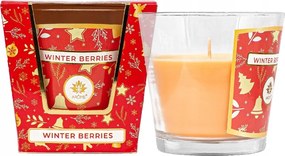 Arôme Karácsonyi illatgyertya Téli bogyók